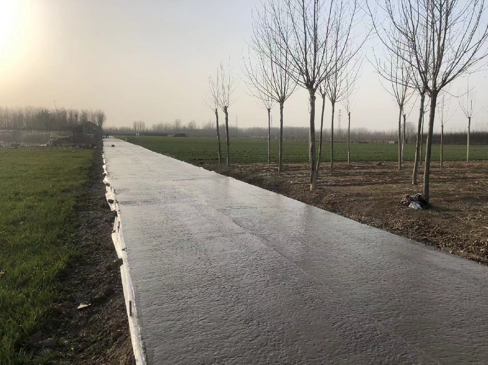 2021年临沂市河东区梅家埠街道2万